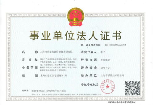 營業(yè)執(zhí)照中的技術(shù)開發(fā) 入門指南與核心考量